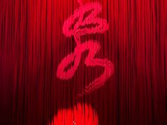 -水秀国际大剧院