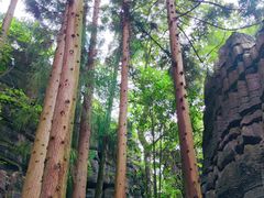 -梭布垭石林景区