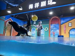 -重庆欢乐海底世界