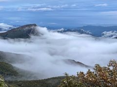 -白草畔自然风景区