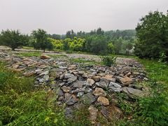 -绿堤公园