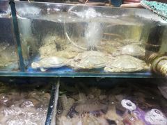 -香满居张记小厨私房菜(青岛站店)