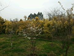 -白鹭湾湿地公园