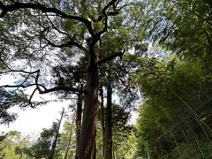 -丹山赤水风景名胜区