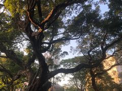 -均和墟历史街区-平和大押