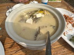 昂刺鱼豆腐汤-小竹林农庄