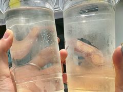 -217笋干馄饨