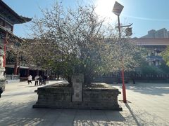 -章华寺
