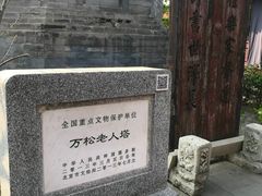 -万松老人塔