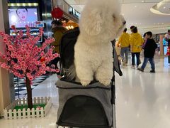 -阿甘锅盔(合生汇购物中心店)