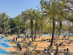 -宝安西湾红树林湿地公园