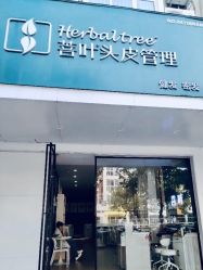 -菩叶脱发白发中心