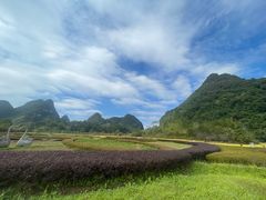 -靖西鹅泉风景区