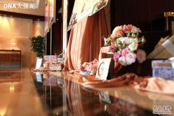 -DNA Wedding 婚礼记(上海店)
