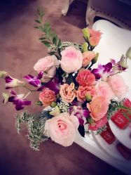 -UP&UP·半永久眉毛眼线机器野生眉