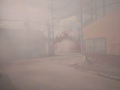 -西海岸生态观光园