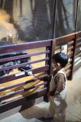 -酷嗒动物文化乐园(cutezoo西溪乐天城店)