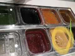 -Salud撒露欧洲冻酸奶(北苑上品店)
