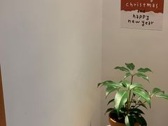 -LilBee Coffee