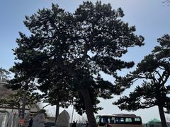-妙峰山风景名胜区