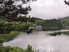 -庐山风景区花径公园