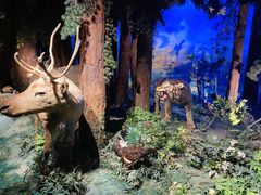 -大连自然博物馆·地球展厅