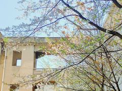 -武汉大学-樱园