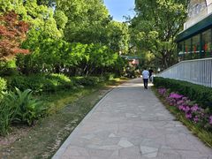 -新江湾城公园
