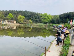 -铁山坪森林公园