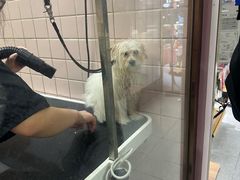 -FAELING PETS美天灵宠物(富力广场店)