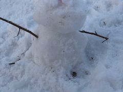 -蓟洲国际滑雪场