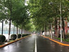 -北京师范大学邱季端体育馆