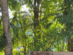 -三亚湾海居铂尔曼度假酒店