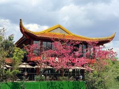 -翠湖公园