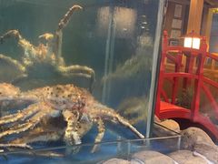 -綱元·海鲜豆捞(明州里店)