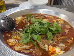 -古乐牛香·鲜牛肉牛杂火锅(高新店)