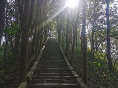 -田心森林公园