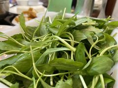 -正能量脆肉鲩火锅