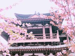 -西安青龙寺遗址景区