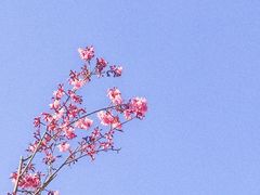 -海埂大坝