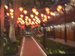 -Jing Bar 井酒吧