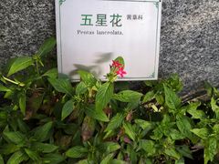 -广州神农草堂中医药博物馆