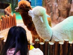 -宝燕乐园(闵行旗舰店)