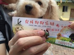 -良成狗狗乐园