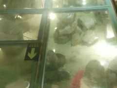 -5号KTV音乐广场(天通苑店)