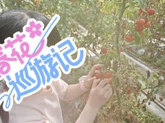 -苏州太湖西山岛开心农场