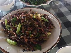 -草根堂农场