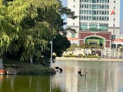 -厦门大学(思明校区)