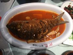 -阿五黄河大鲤鱼(纬三路店)
