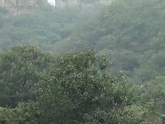 -青龙山生态文化旅游区(慈云寺)